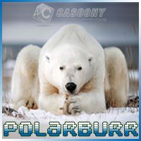 Polarburr